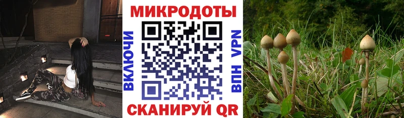 купить наркоту Елизаветинская Галлюциногенные грибы мицелий